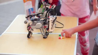 Küçük çocuk robot köpek ile oynuyor