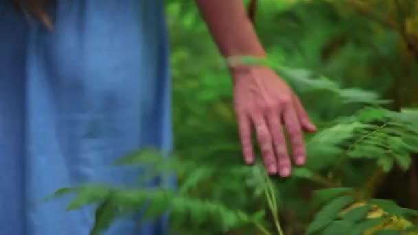 青いドレスを着た女性が手で緑の葉に触れて森の中を歩く女性の背面図 — ストック動画