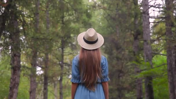 Young beautiful woman walking through a pathway in a pine forest — Stock Video