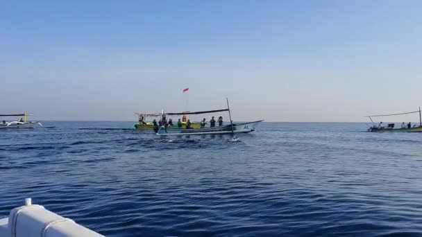 Балі, Індонезія-18 вересня, 2019: стадо дельфінів плавання і стрибки — стокове відео
