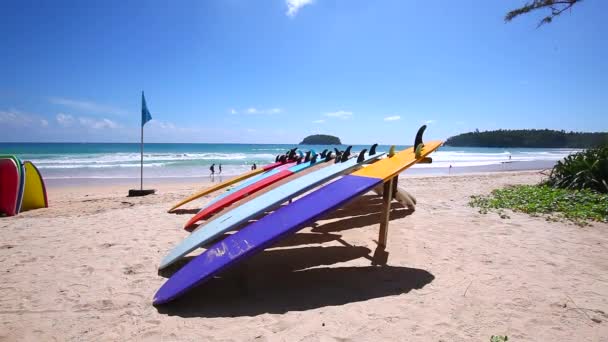 Collection of colorful surf boards on the beach — Stock Video