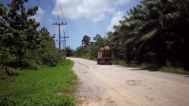 İki Asya Filler daha fazla ulaşım için kamyon ayakta