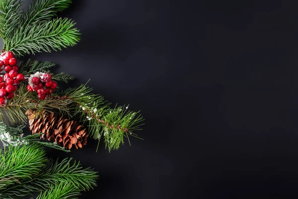 Kerst decoratie zwarte achtergrond met dennen twijgen en kegel — Stockfoto