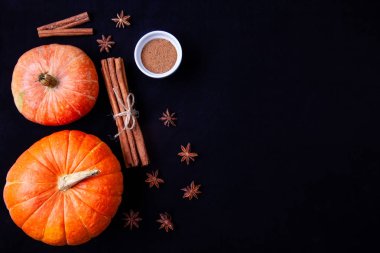 Tarçın çubukları ve anason yıldız siyah arka plan ile iki portakal kabak