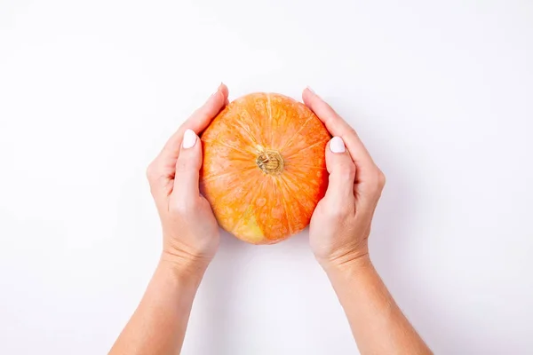 Manos de mujer sosteniendo una pequeña calabaza naranja sobre fondo blanco. Vista superior — Foto de Stock