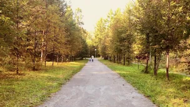 Hombre con mochila corriendo por carretera en el bosque de otoño — Vídeo de stock