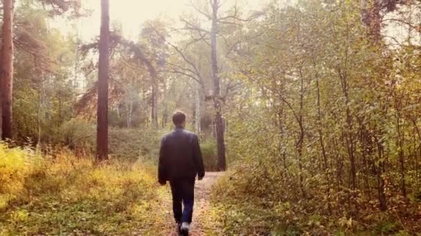 Siyah ceketli adam güneşli bir günde parkta yürür. Sonbahar orman yol manzara. — Stok video