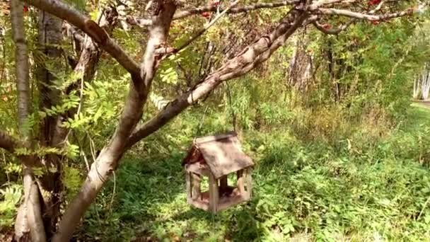 Vogelfutterhäuschen auf dem Vogelbeerenzweig, Trauben roter Vogelbeeren im Park — Stockvideo
