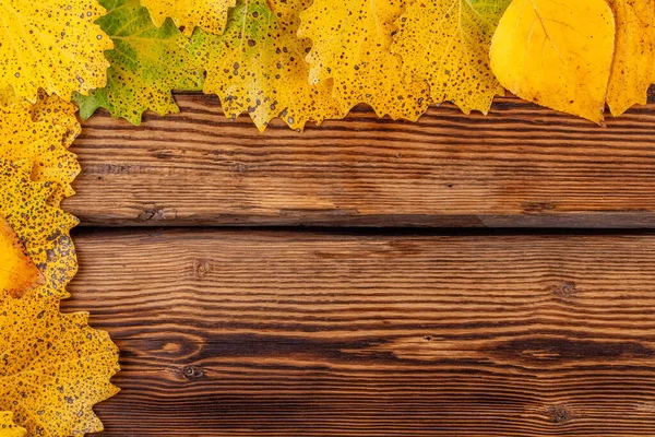 Herfst concept kopieerruimte: frame van droge gele bladeren op oude houten ondergrond — Stockfoto