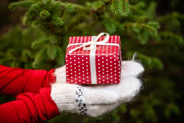 Close-up hands in knitted mittens holding Christmas gift on fir tree background