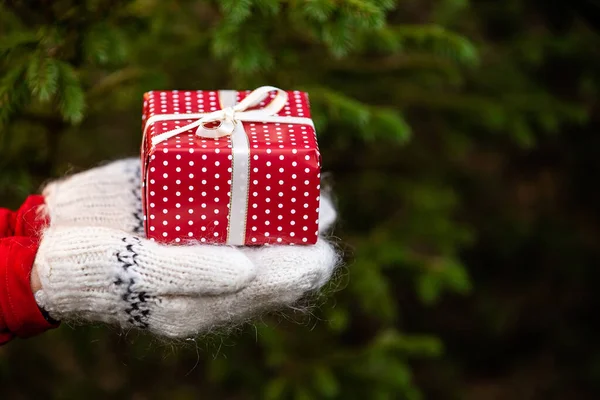 Close-up handen in gebreide wanten houden kerstcadeau op dennenboom achtergrond — Stockfoto