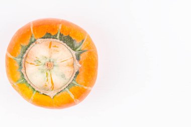 Renkli çirkin organik çiftlik beyaz arka planda çifte mutasyon balkabağı