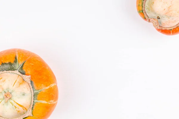 Pair of trendy ugly organic farm double mutation pumpkins on white background — Stock fotografie