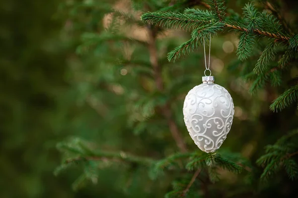 Christmas decoration toy hanging on spruce branch with green woodland background — Stock Photo, Image