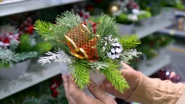 Руки женщины с новогодними украшениями, ветви елки с ягодами в горшке — стоковое видео