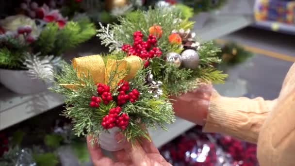 Woman hands holding Christmas decoration, fir tree branches with berries in pot — Stock Video