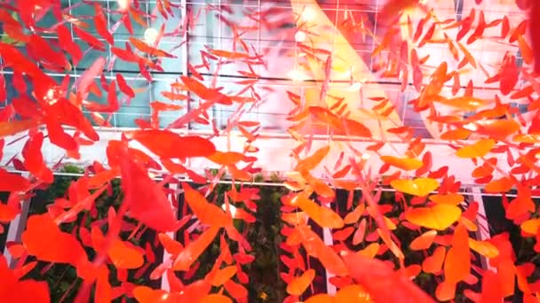 Décorations avec des coeurs rouges pour la Saint-Valentin dans le grand centre commercial moderne — Video