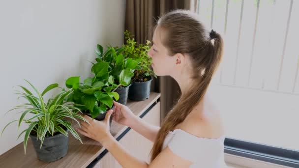 Giovane donna sorridente guardando e toccando foglie a casa Fiori — Video Stock