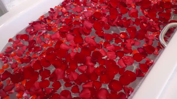 Ready to take Bath with a lot of Red Rose Petals in a Luxury Hotel — Stock video