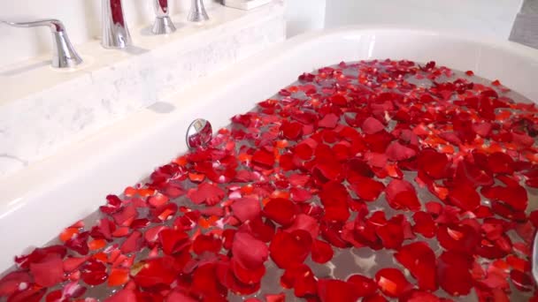 Prepared Bath with Red Rose Petals in White Luxury Marble Bathroom — Stock Video