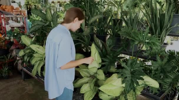 Jonge vrouw in casual kleding kiezen van planten op de bloemenmarkt — Stockvideo