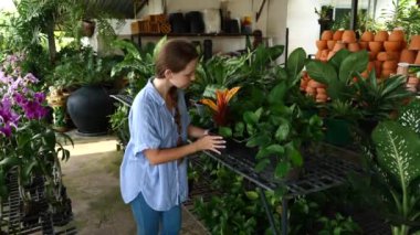 Çiçek Pazarı 'nda Günlük Giysiler Giyen Genç Kadın Bitkileri Seçiyor