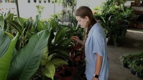 Mujer joven en ropa casual eligiendo plantas en el mercado de flores — Vídeo de stock