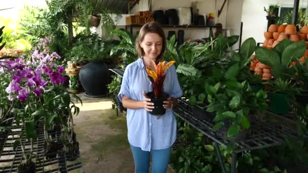 Jovem mulher em roupas casuais segurando em suas mãos vaso com planta — Vídeo de Stock