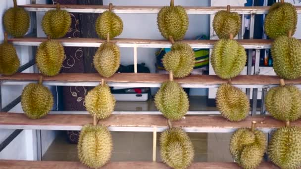 Madura fresca cruda mes Durians frutas stand en estante de madera en el mercado callejero — Vídeos de Stock