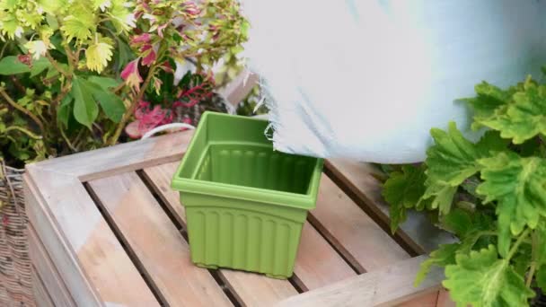 Giardiniere versa terra fresca dalla borsa in vaso di fiori verde in giardino all'aperto — Video Stock