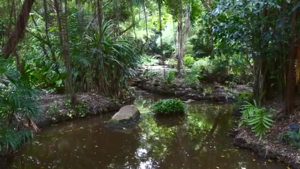 Tropisk park med grönska och damm med stora stenar i Thailand — Stockvideo