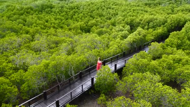Moción lenta de la muchacha en vestido rojo caminando por el camino de madera entre los árboles de manglar — Vídeos de Stock