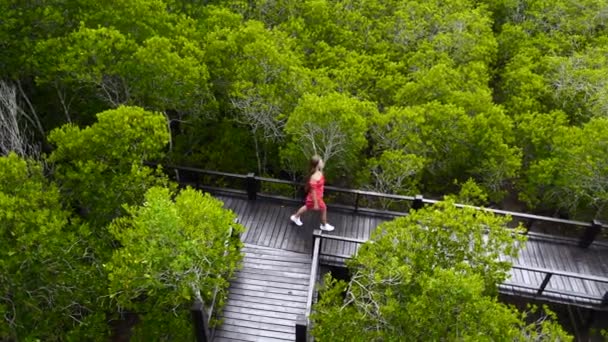 Chica de viaje con el pelo largo en vestido rojo camina por el camino de madera en el bosque de manglares — Vídeos de Stock