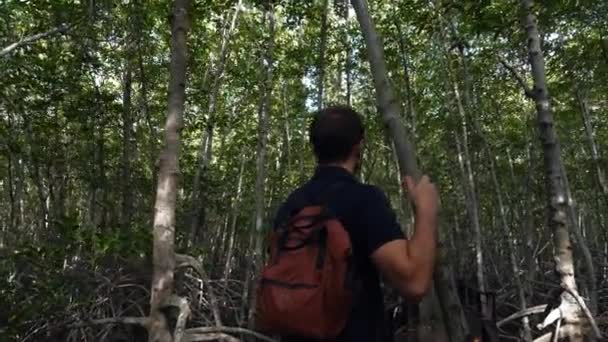 Tailandia, Pran Buri, julio 2020: El turista con mochila camina en los árboles de manglares — Vídeos de Stock