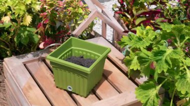 Eldivenli Kadın Bahçede Demir Şövalye ile Yeşil Saksıya Toprak Koyuyor