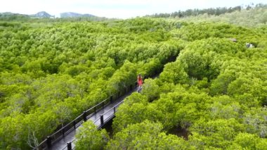 Mangrove Ağaçları Arasında Yürüyen Kırmızı Elbiseli Kızın Yavaş Hareketi
