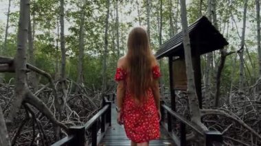 Kırmızı Elbiseli Genç Kadın Yeşil Ağaçlar Arasında Ahşap Yol Üzerinde Yürüyor