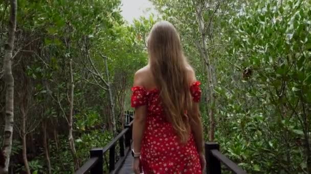 Vista trasera de la mujer joven en vestido rojo camina a lo largo de camino de madera entre los árboles verdes — Vídeos de Stock