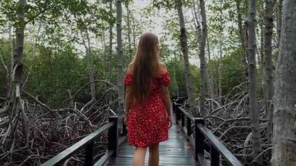 В одиночестве гуляет по мосту и наслаждается природой в парке с мангровыми деревьями — стоковое видео