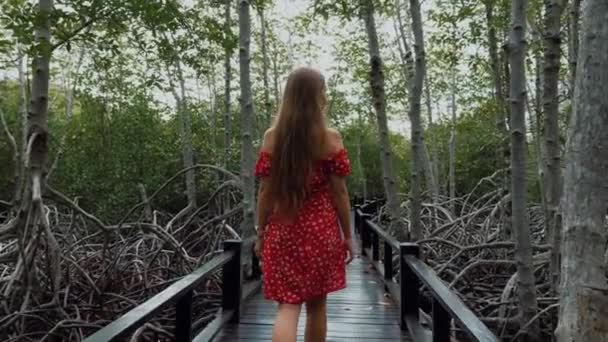 Promenades touristiques solitaires sur le pont et profiter de la nature dans le parc avec des mangroves — Video