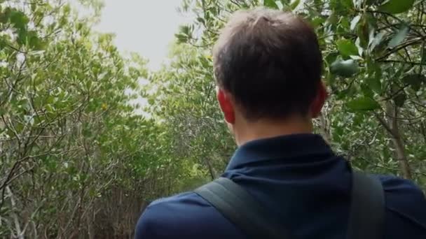 バックパック付き男性観光客は緑の森でスマートフォンでビデオを作ります,バックビュー — ストック動画