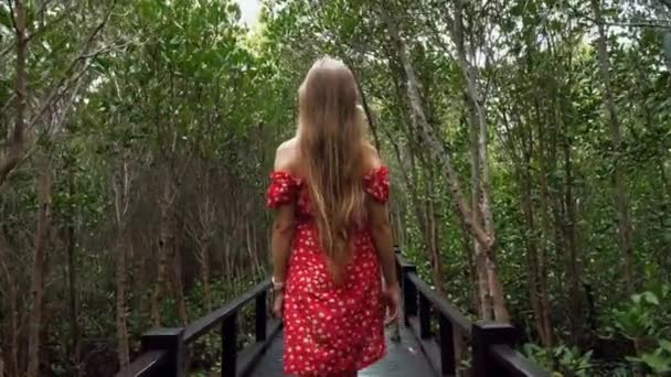 Vista posterior de la mujer joven en vestido rojo camina a lo largo de camino de madera entre los árboles verdes — Vídeos de Stock