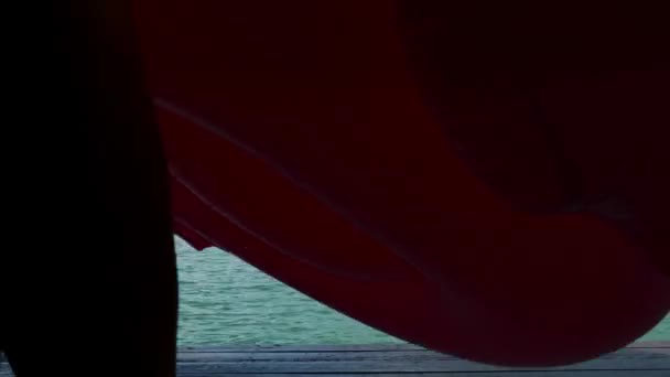 水着の女性湖でピンクインフレータブルフラミンゴと木製の桟橋を歩く — ストック動画