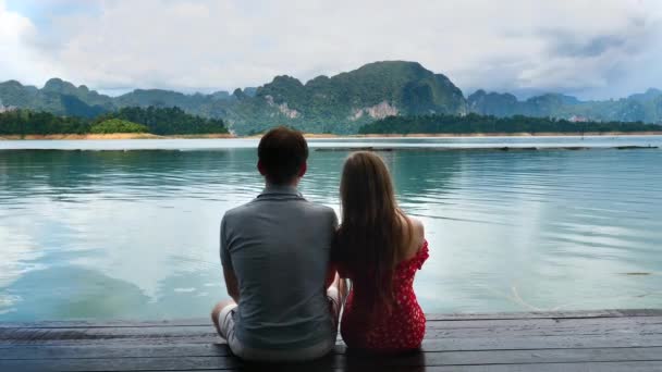 Vista trasera de la feliz pareja romántica sentarse juntos en la fecha de aniversario en la naturaleza — Vídeos de Stock