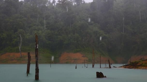Douche regen laten vallen op Blue Lake met dode bossen en groene regenwoud heuvels — Stockvideo