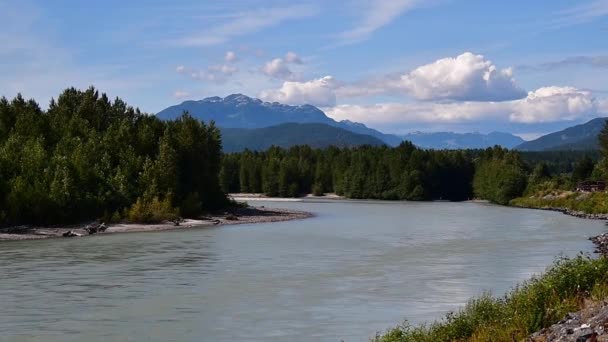 Utsikt Över Squamish River Från Brackendale Kanada — Stockvideo