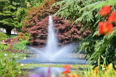 Yemyeşil bir dereceli bir su çeşmesi bu sıcak güneşli günde su püskürtüyor. Vancouver Bc Kanada