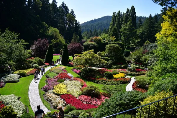 Sunken Garden Été Victoria Colombie Britannique Canada — Photo