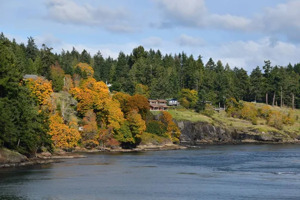Skalní Domy Obklopené Krásnými Podzimními Barvami Věčně Zelenými Canada — Stock fotografie