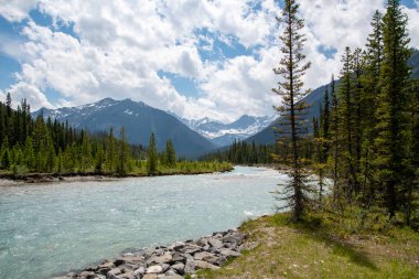 Kootenay nehri Kootenay Ulusal Parkı 'ndan akıyor. BC Kanada
